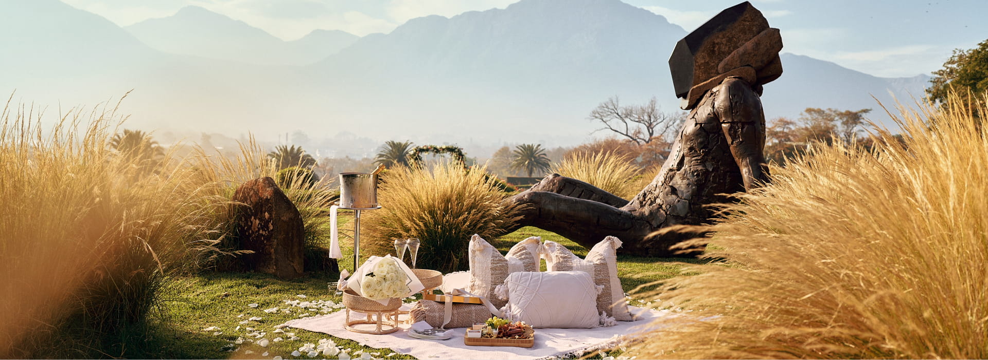 Leeu Collection | South Africa | OFFERS & EXPERIENCES Picnics And Braais