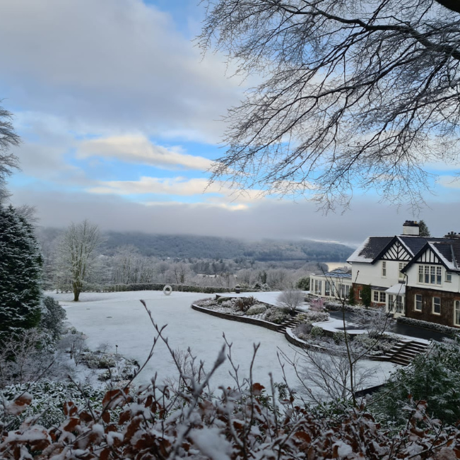 Dreaming of a White Twixmas image