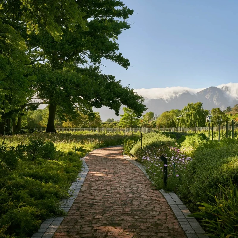 Leeucollection blog - The Perfect Day at Leeu Estates | Luxury in Franschhoek 3
