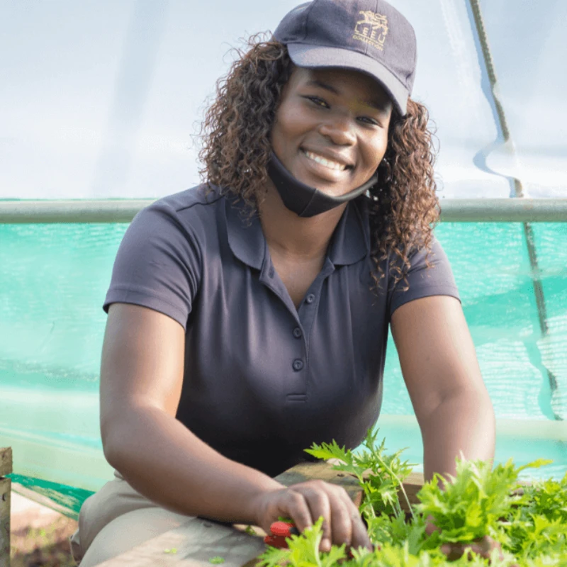Leeucollection blog - Why it’s Time to Join the Farm-to-Fork Revolution 1