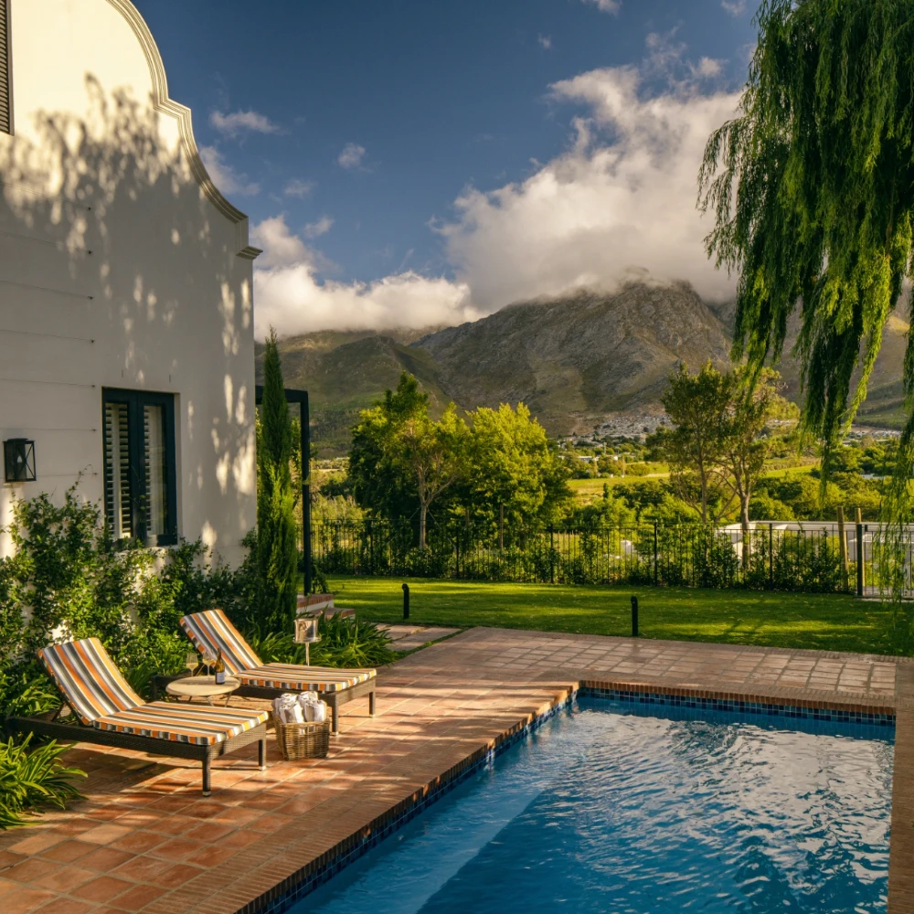 Discover the Cape’s Finest Restaurants with the Leeu Collection Chefs image