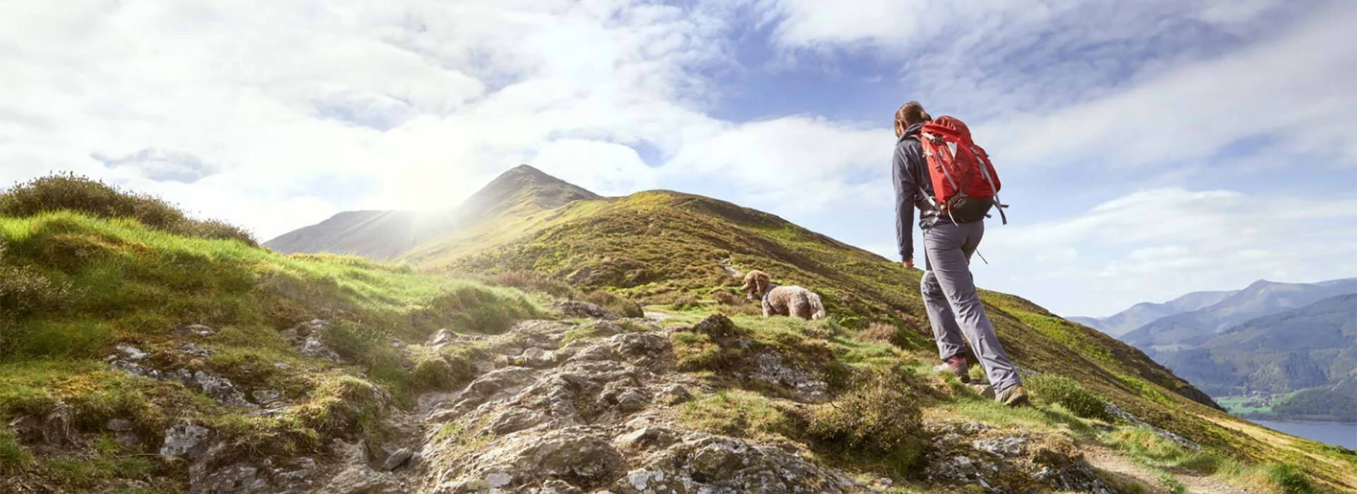 Leeucollection blog - Your Guide to Dog-Friendly Travel in the Lake District hero slide 1