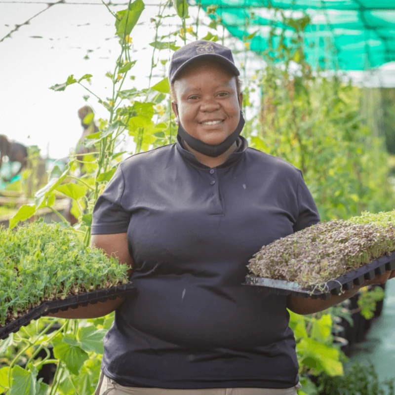 Leeucollection blog - Why it’s Time to Join the Farm-to-Fork Revolution 3