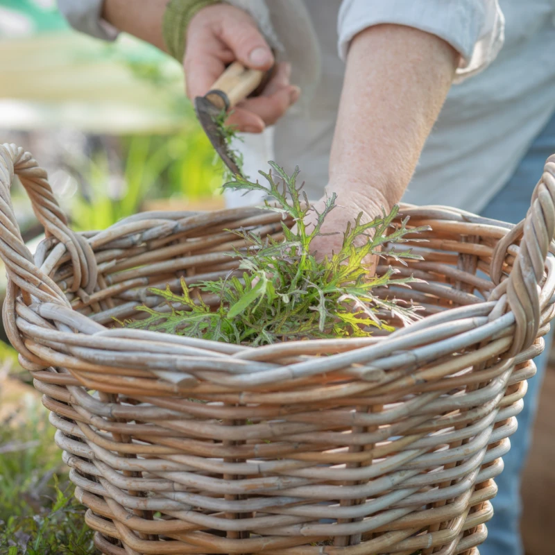 Leeucollection blog - Winter Harvests on Leeu Estates 2