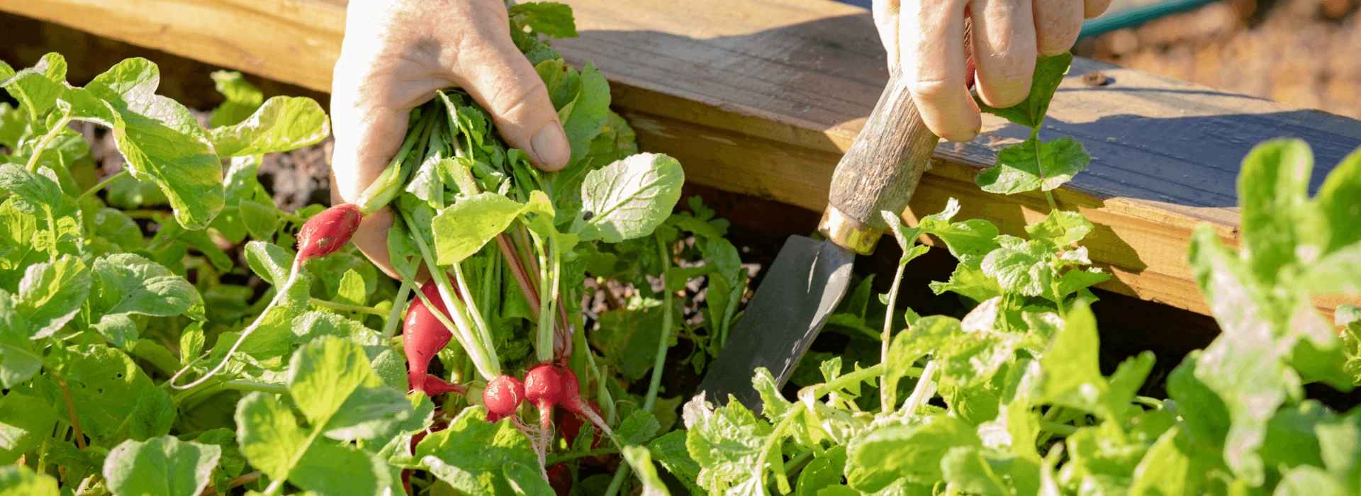 Leeucollection blog - Why it’s Time to Join the Farm-to-Fork Revolution hero slide 1