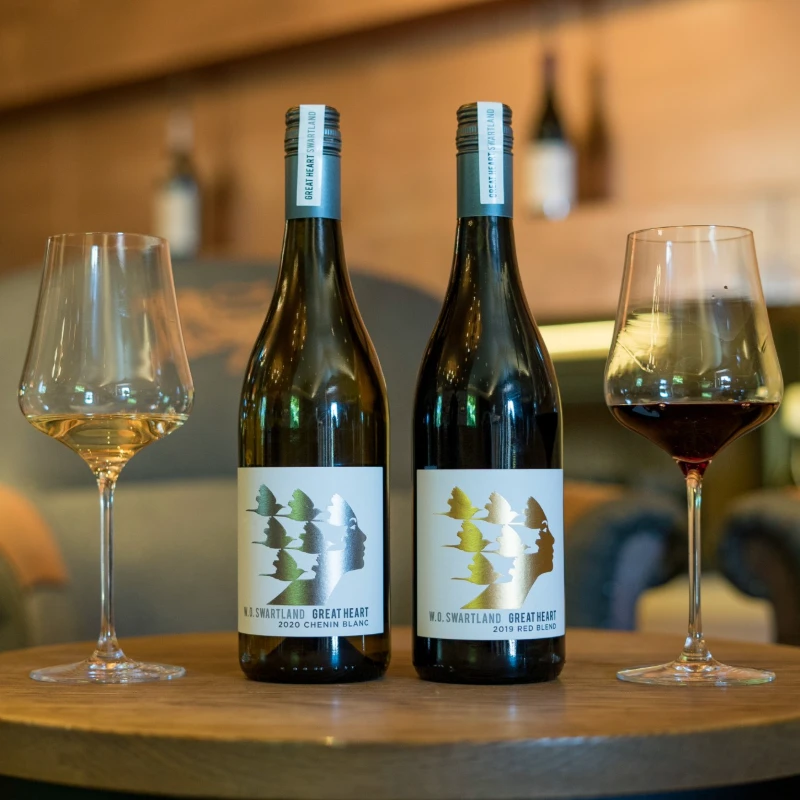 Leeucollection blog - Meet the Winemaker | Gynore Hendricks 3
