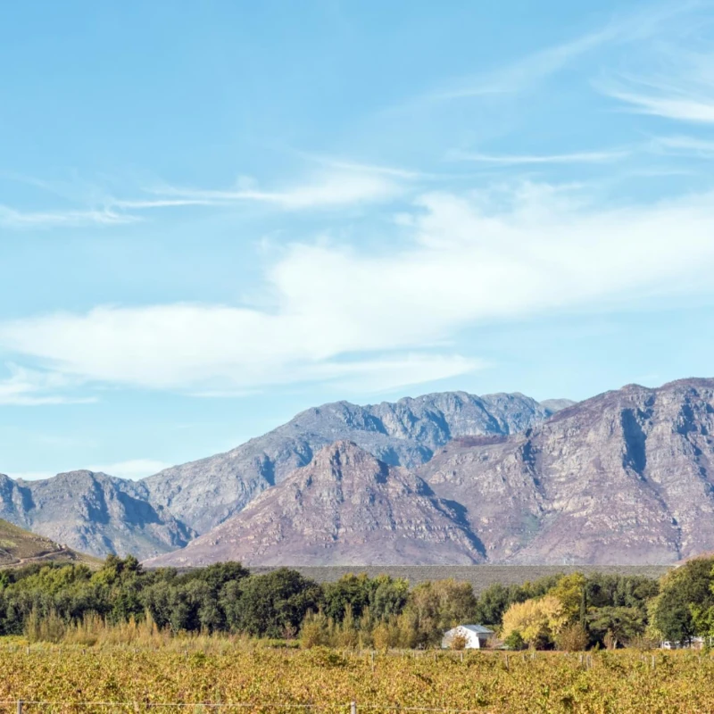 Leeucollection blog - Franschhoek Festivals 3