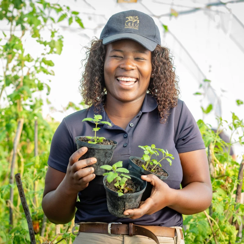 Leeucollection blog - Winter Harvests on Leeu Estates 3