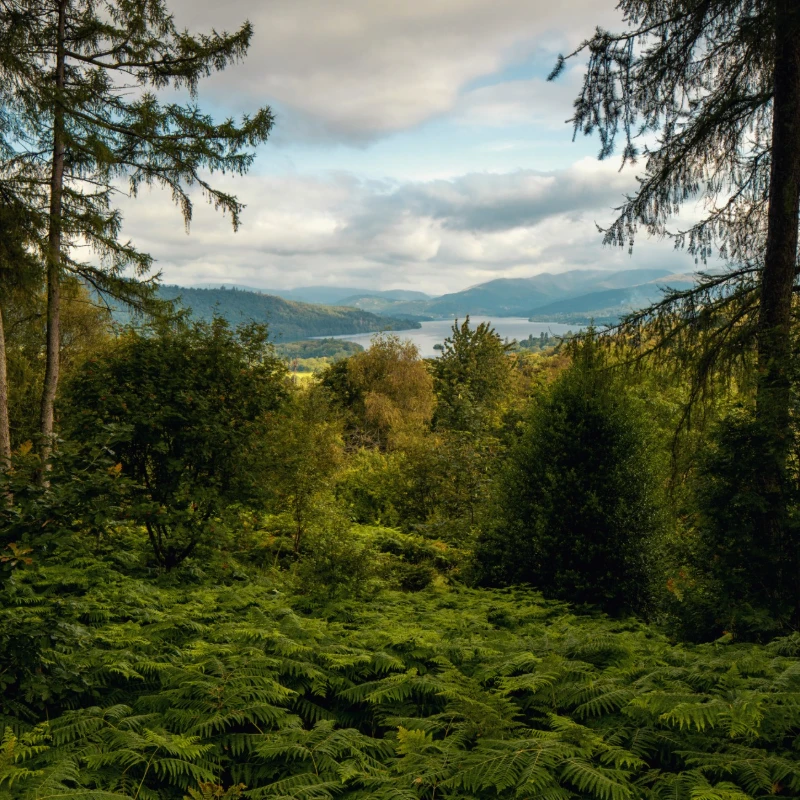 Leeucollection blog - A Living Landscape Above Windermere 3