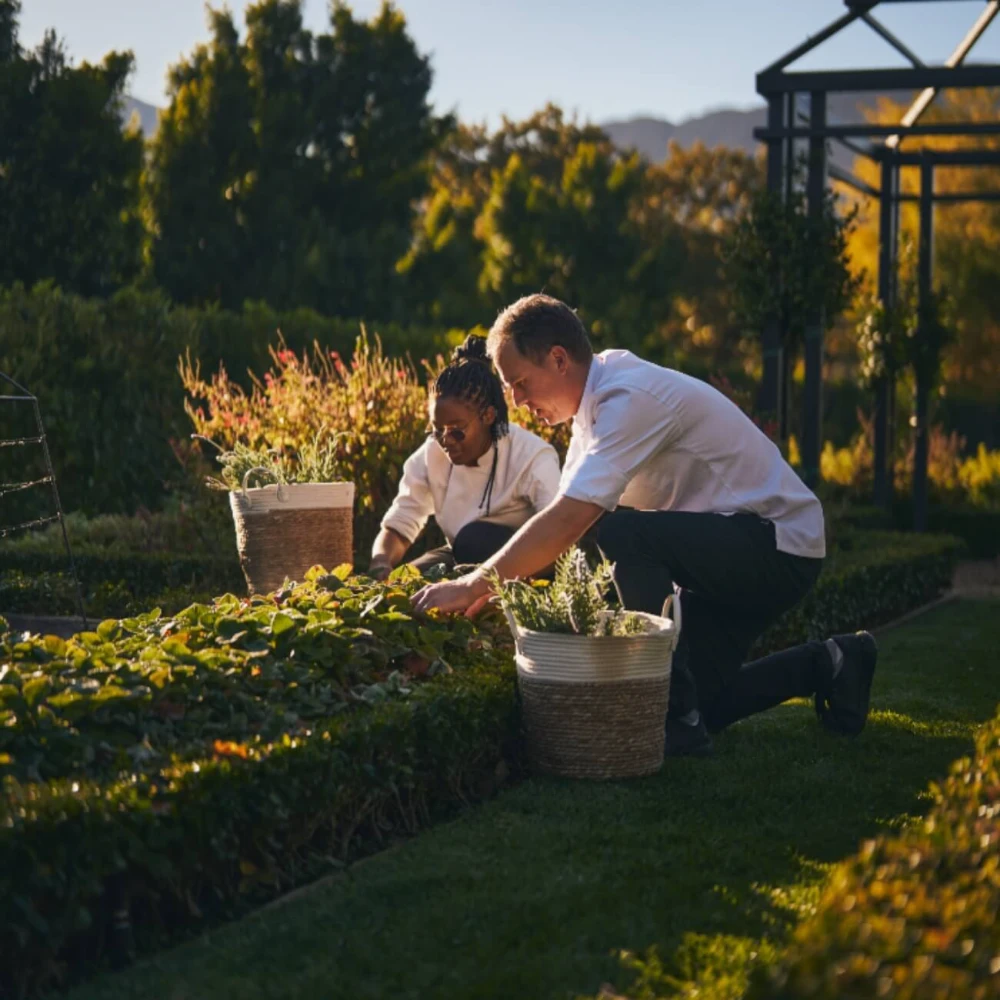 Embracing the Arrival of Spring  in the Leeu Locally Grown Gardens image