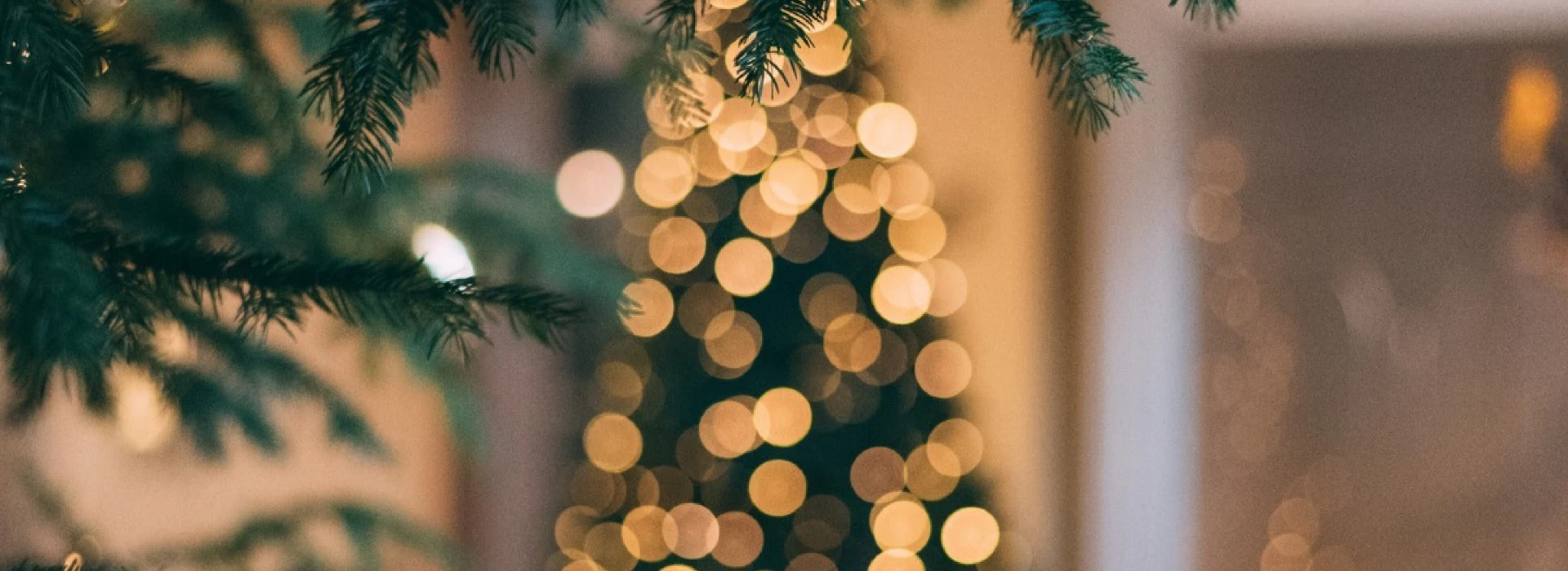 Leeucollection blog - Festive Season in The Lakes hero slide 1