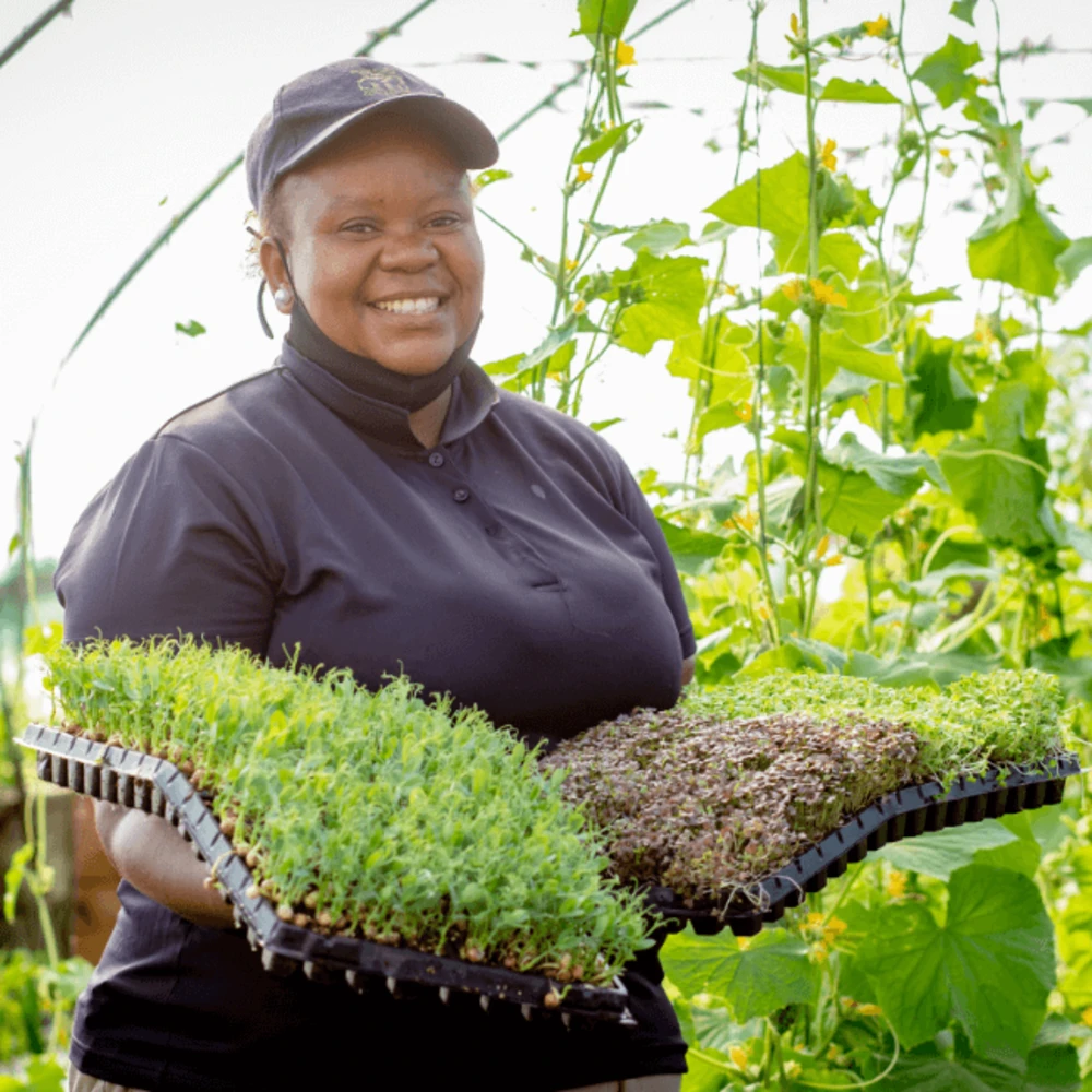 Why it’s Time to Join the Farm-to-Fork Revolution image