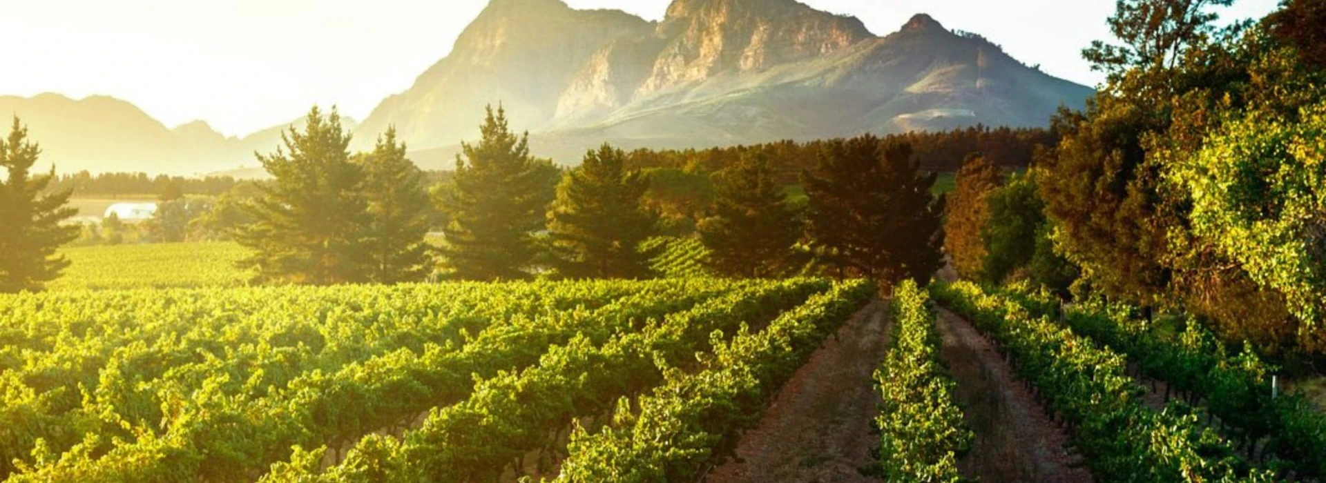 Leeucollection blog - All Roads Lead to Franschhoek | A Journey to Leeu Collection hero slide 1