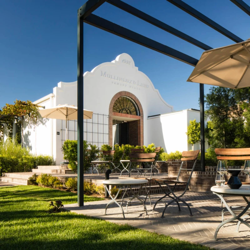 Leeucollection blog - Great Heart : A Wine that Empowers 3