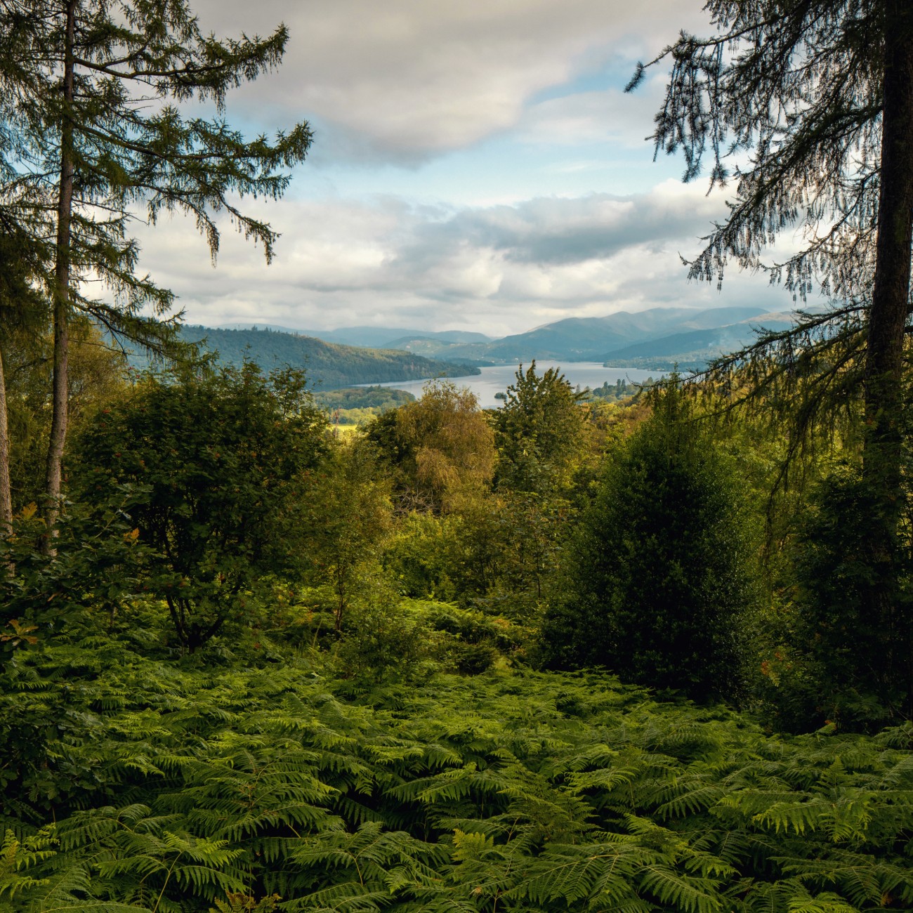 Leeucollection blog - A Living Landscape Above Windermere 3