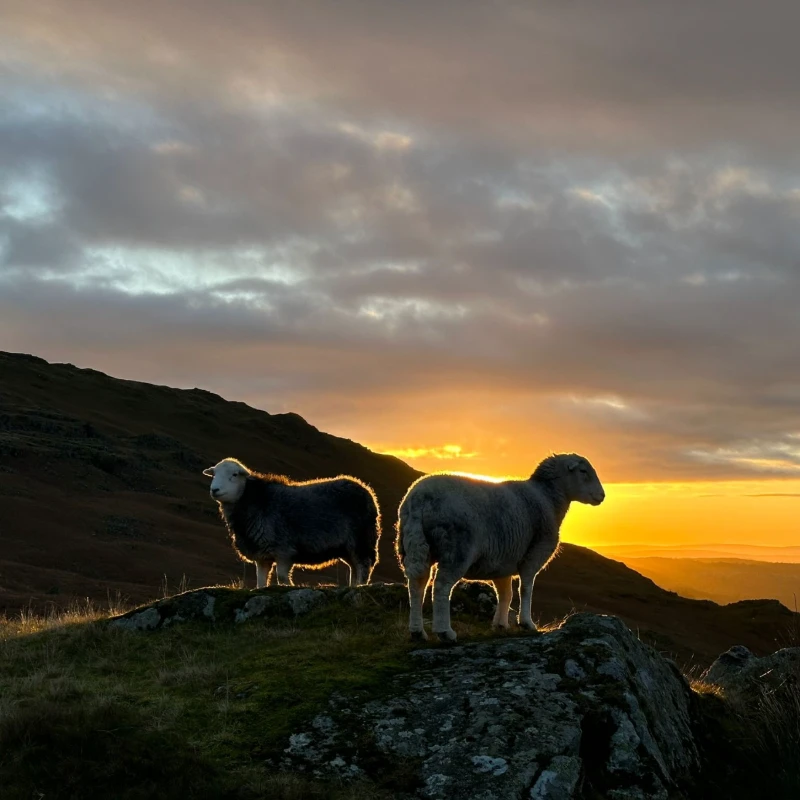 Leeucollection blog - Walking The Lakes 3