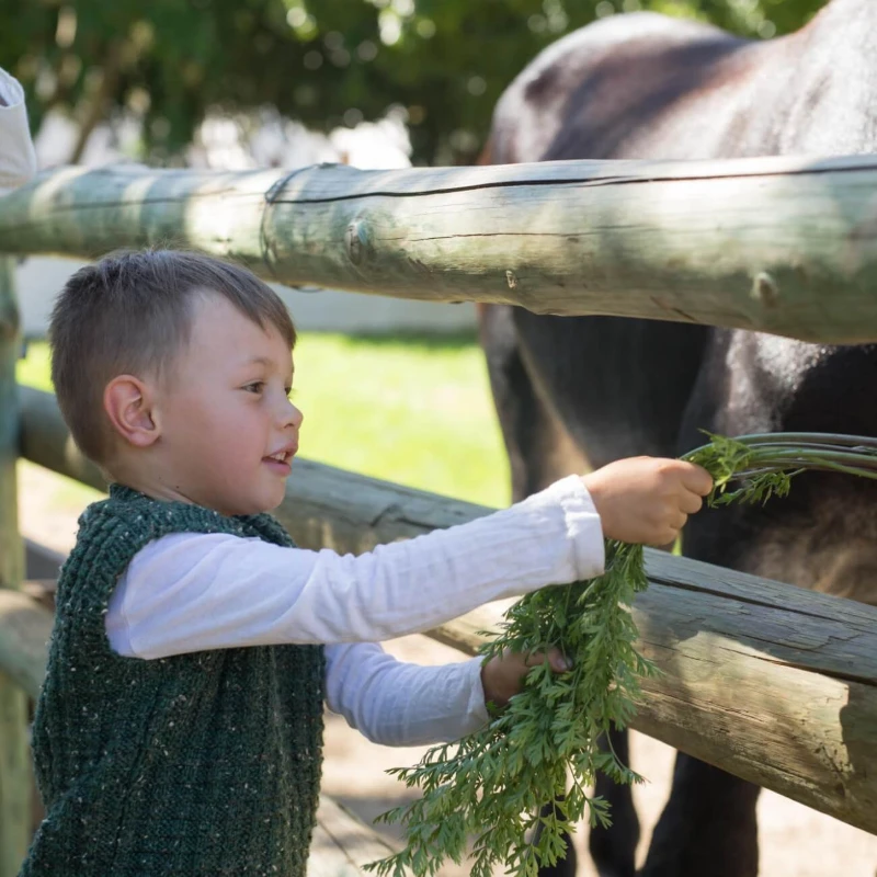 Leeucollection blog - All Roads Lead to Franschhoek | A Journey to Leeu Collection 1
