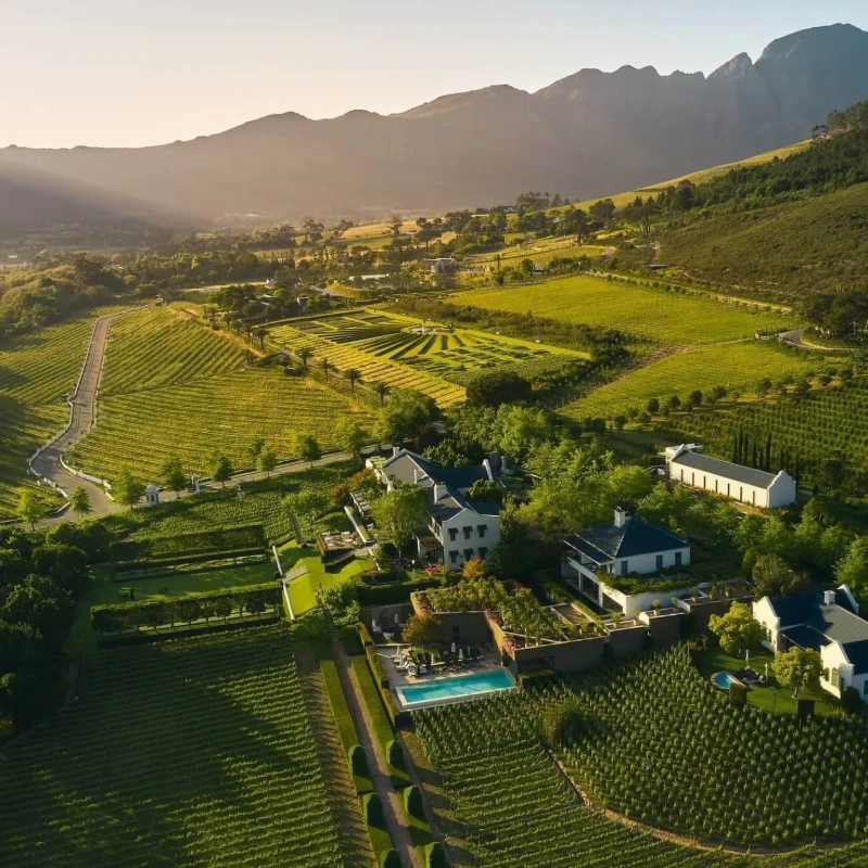 Leeucollection blog - Gary Stephens’ Artist Residency at Leeu Estates | Everard Read Franschhoek 2