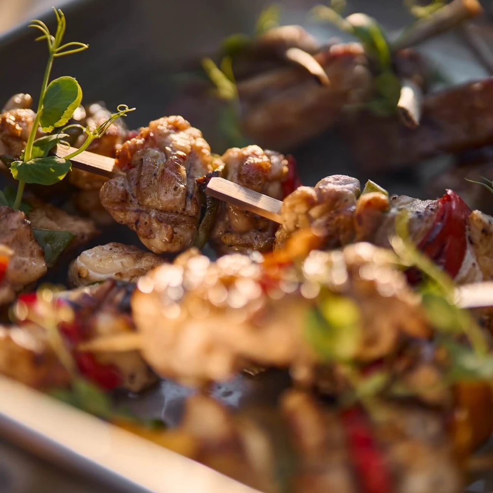 The South African Braai Experience at Leeu Collection | Chef-Led Braais & Luxury Picnics in Franschhoek image