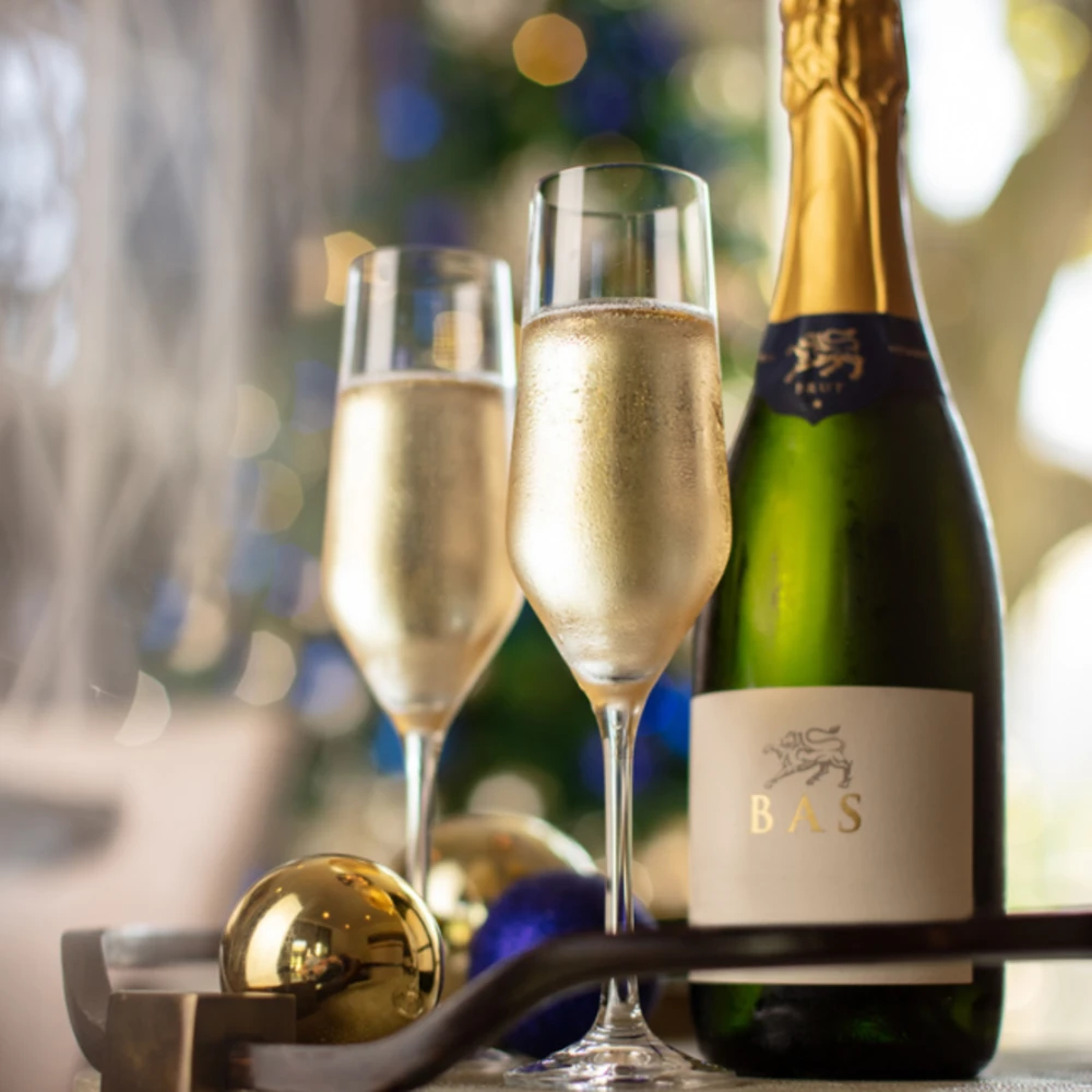 Festive Franschhoek image