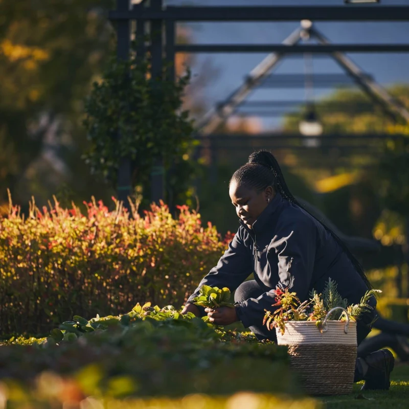 Leeucollection blog - Embracing the Arrival of Spring  in the Leeu Locally Grown Gardens 1