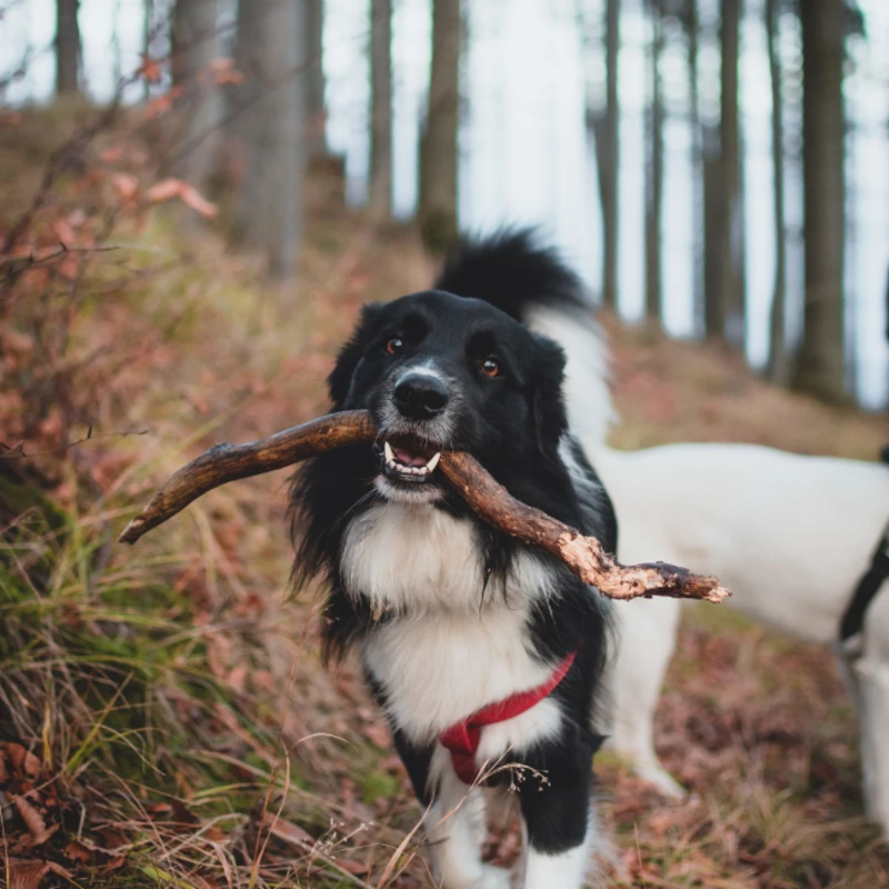 Leeucollection blog - End the Year in Style in The Lakes 2