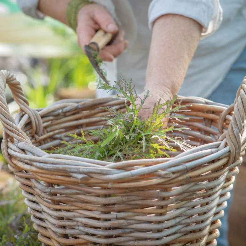 Leeucollection blog - #LeeuLocallyGrown 1