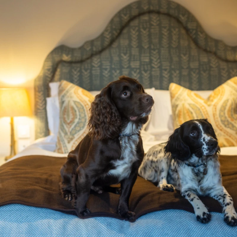 Leeucollection blog - End the Year in Unrivalled Style in The Lakes 2
