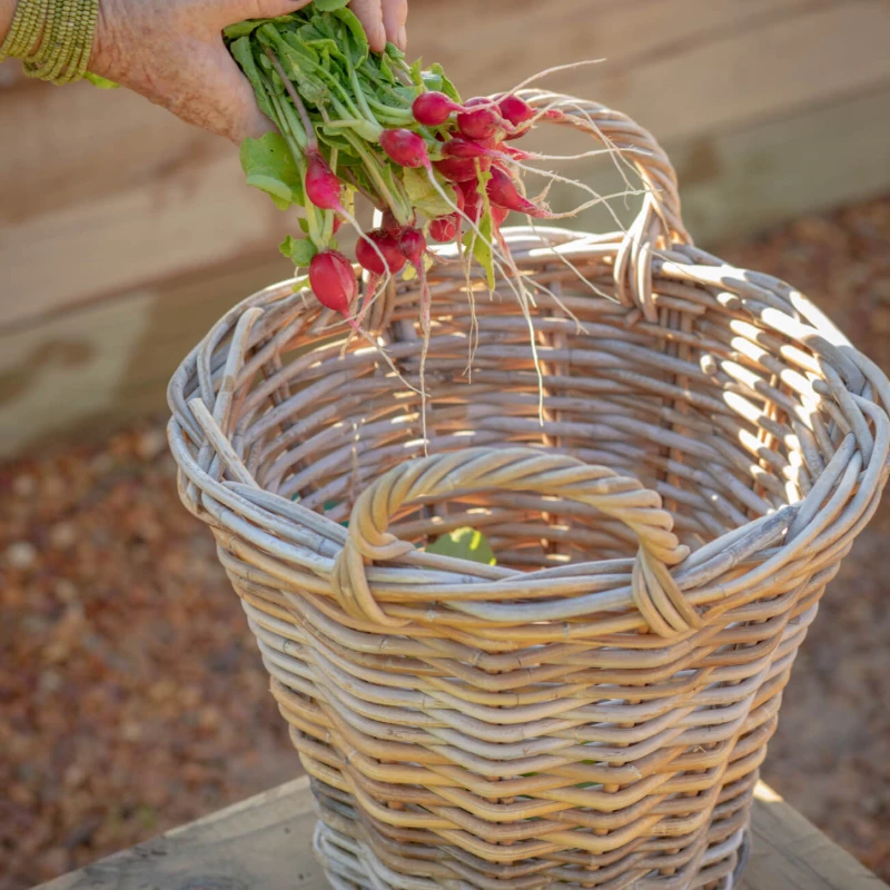 Leeucollection blog - Growth in the Garden 1