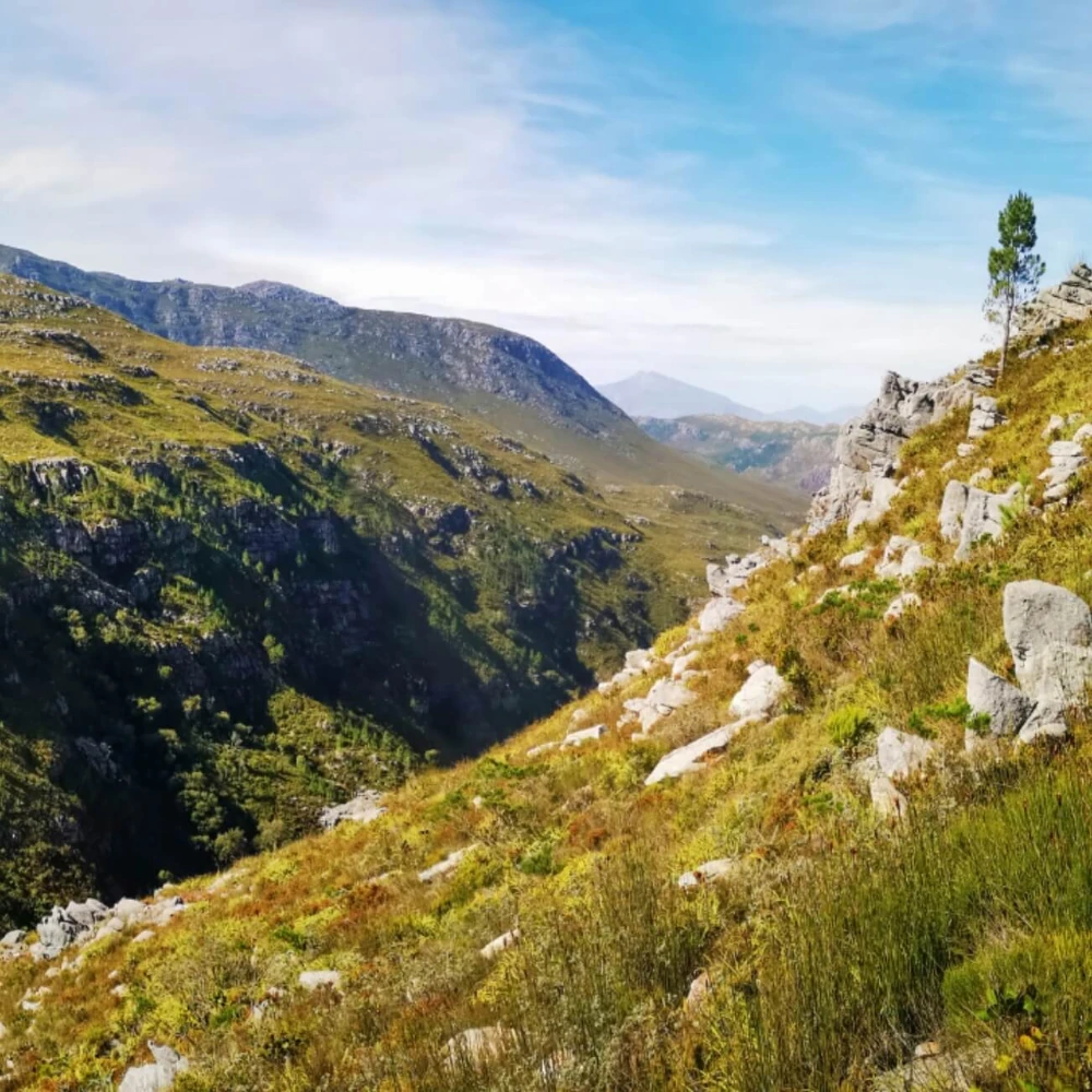 Hiking Franschhoek image