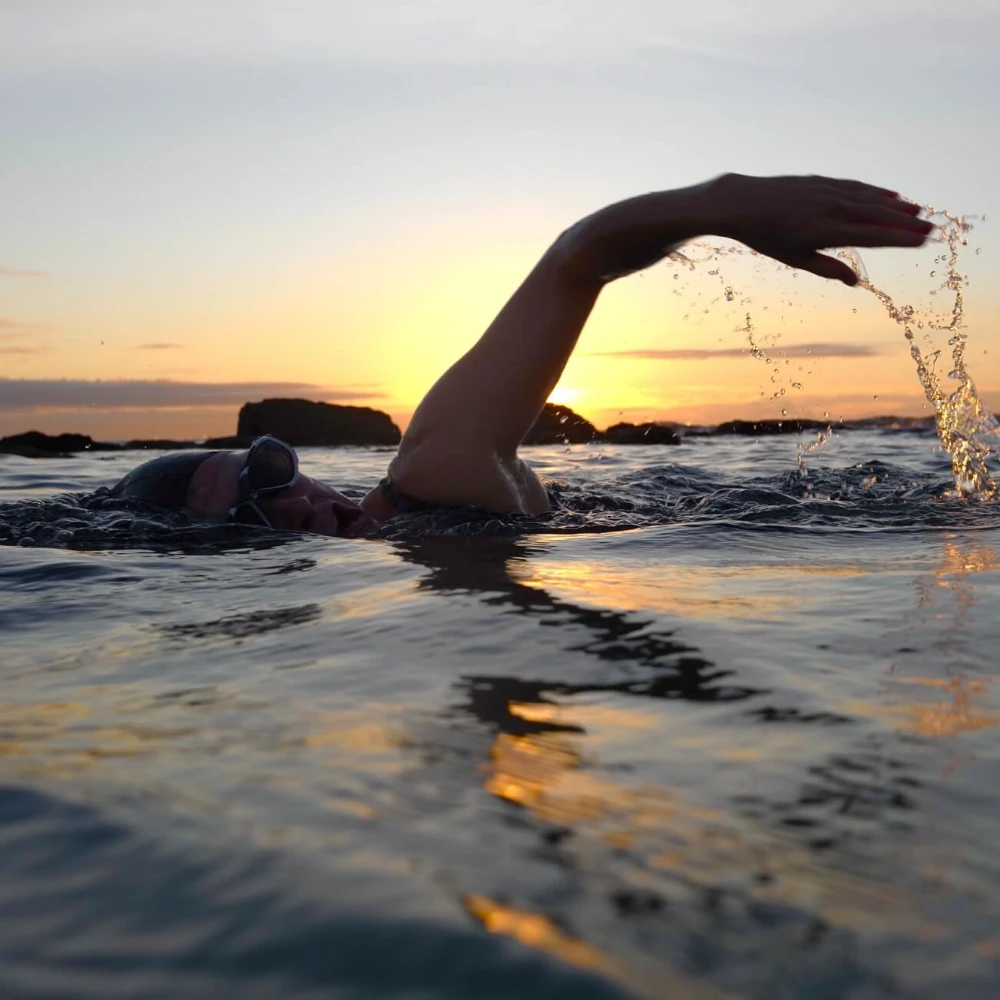Wild Swimming image