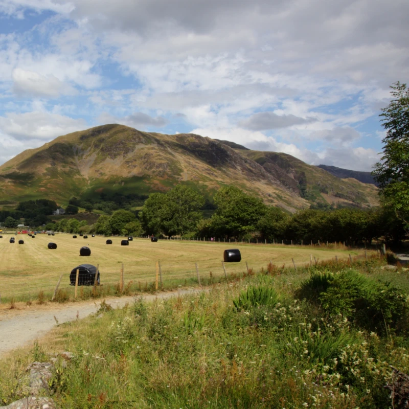 Leeucollection blog - Top 5 Picnic Spots in Windermere 3