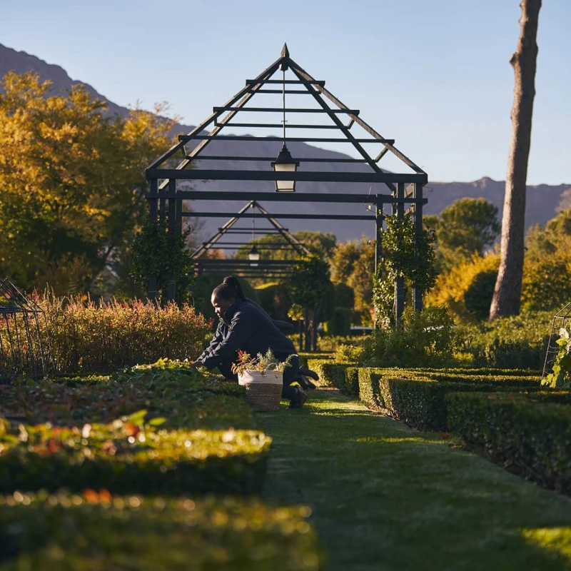 Leeucollection blog - Embracing the Arrival of Spring  in the Leeu Locally Grown Gardens 3
