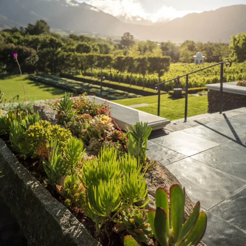 Leeu Estates, Franschhoek, South Africa
