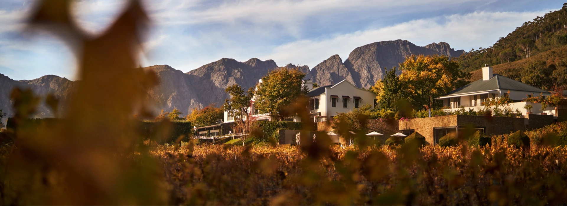 Leeucollection blog - Your South African Home Away From Home | Autumn in Franschhoek hero slide 1