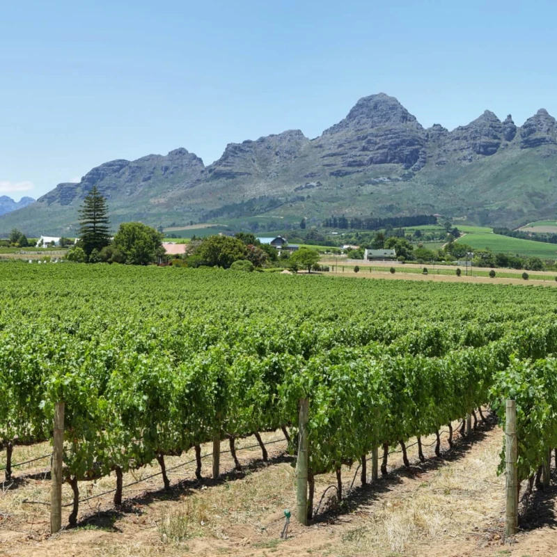Leeucollection blog - Franschhoek Festivals 1