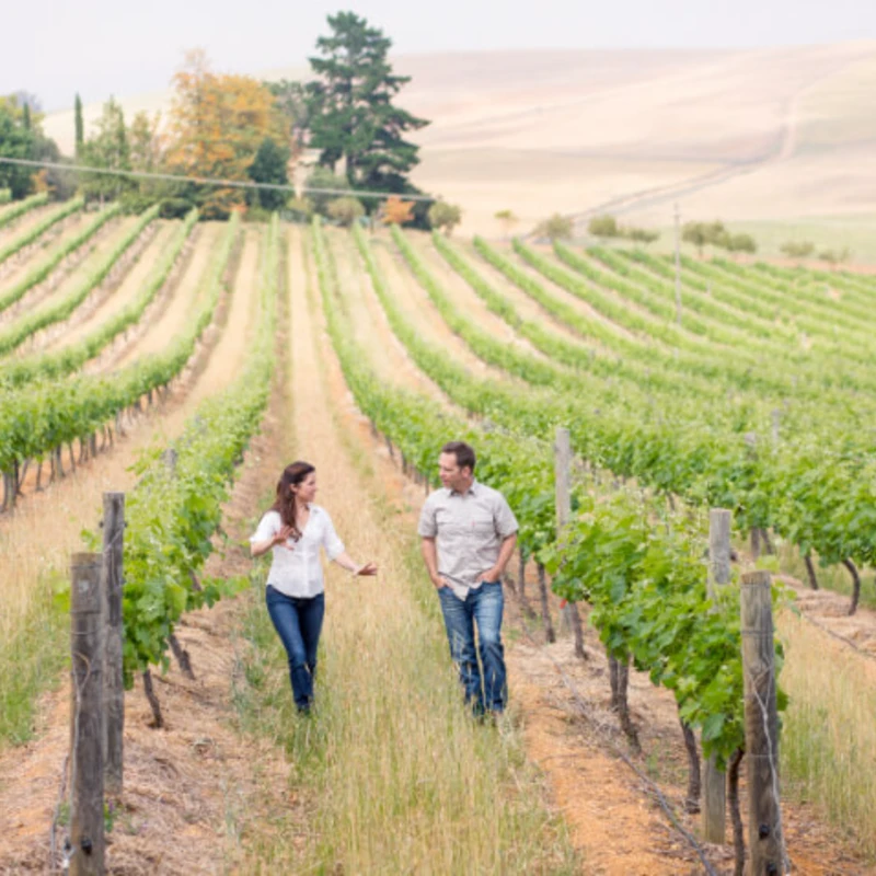 Chris and Andrea Mullineux aim to be as natural and organic as possible in their approach to winemaking