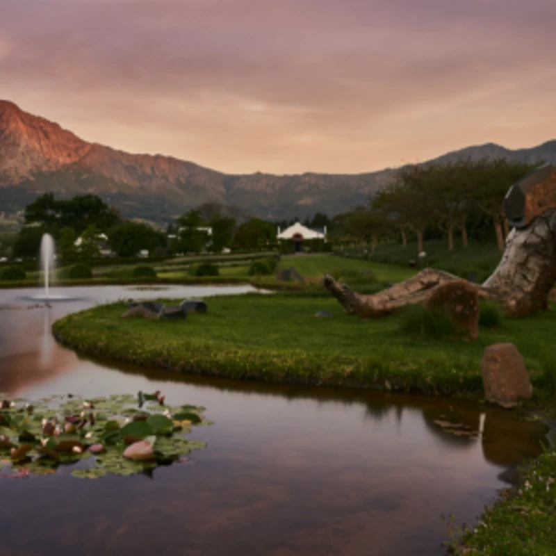 Reflective Resonance by Angus Taylor at Leeu Estates