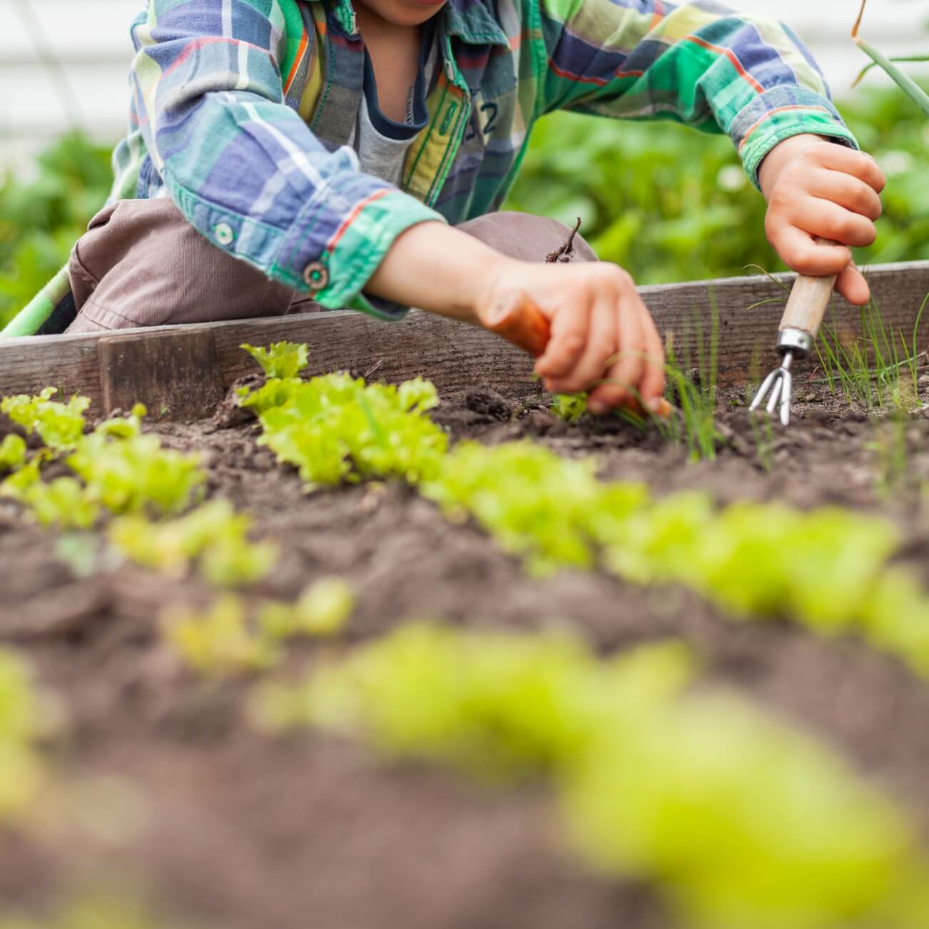 Leeu Collection South Africa Experiences Garden Experiences