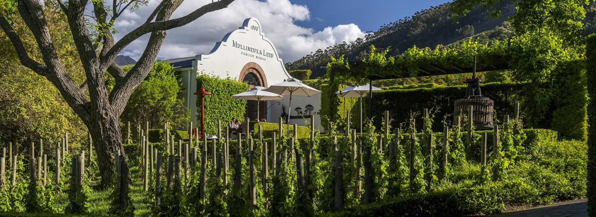 Leeu Collection South Africa Wine and Drinks The Wine Studio Hero Image 1