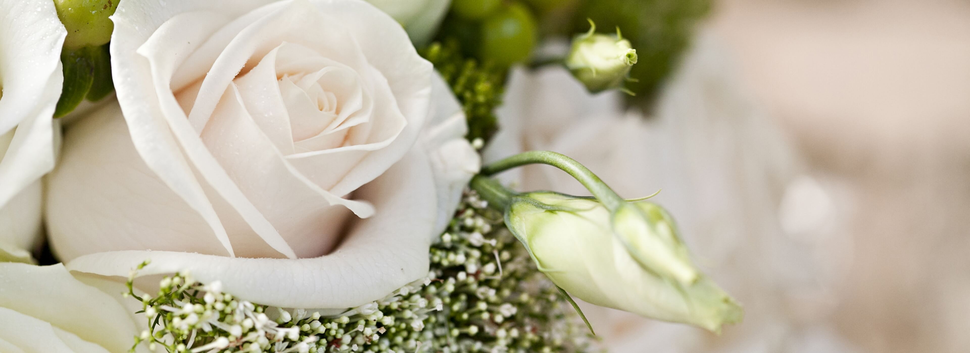 Flowers@2x